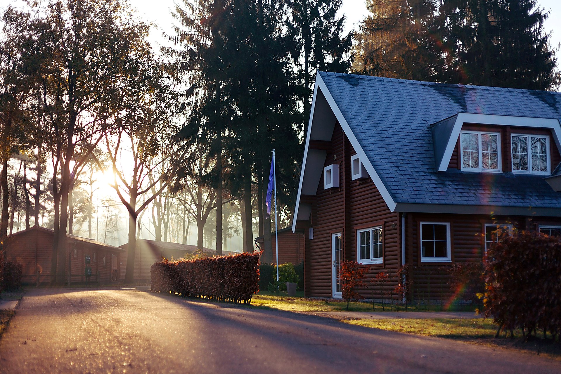 Warm timber lakeside home nestled among pines in golden afternoon light.