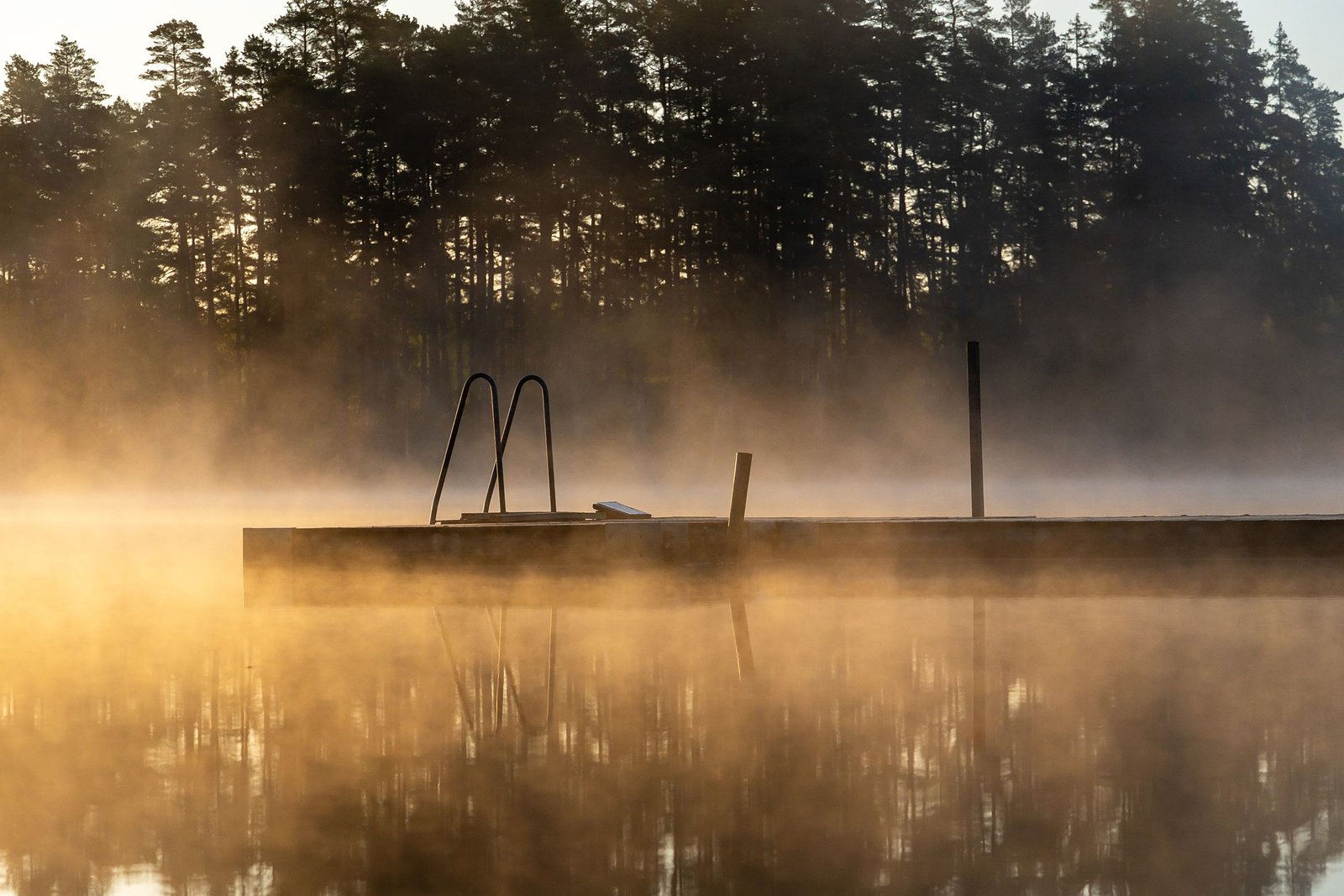 Swim dock in morning mist on a still lake.