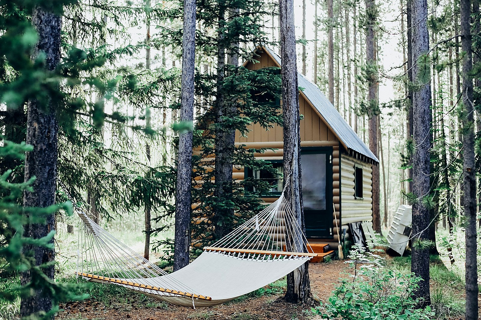 Canvas hammock strung between pines beside a quiet log cabin.