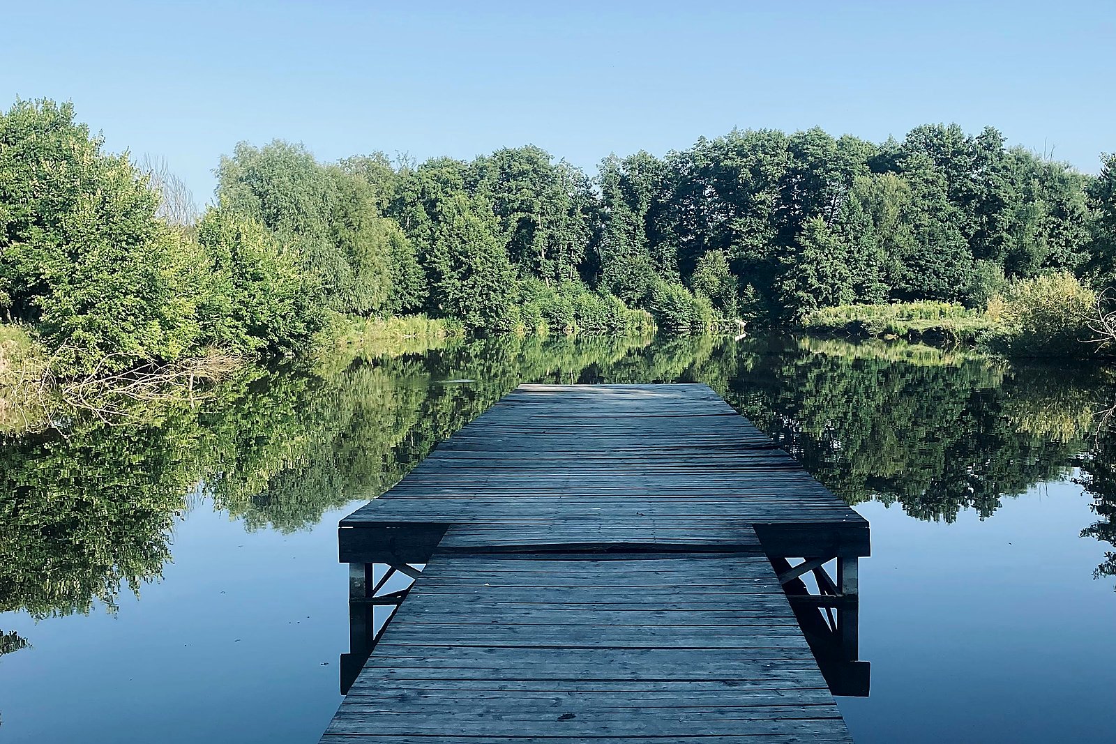 Weathered wooden pier stretching into a still forest lake under clear sky.
