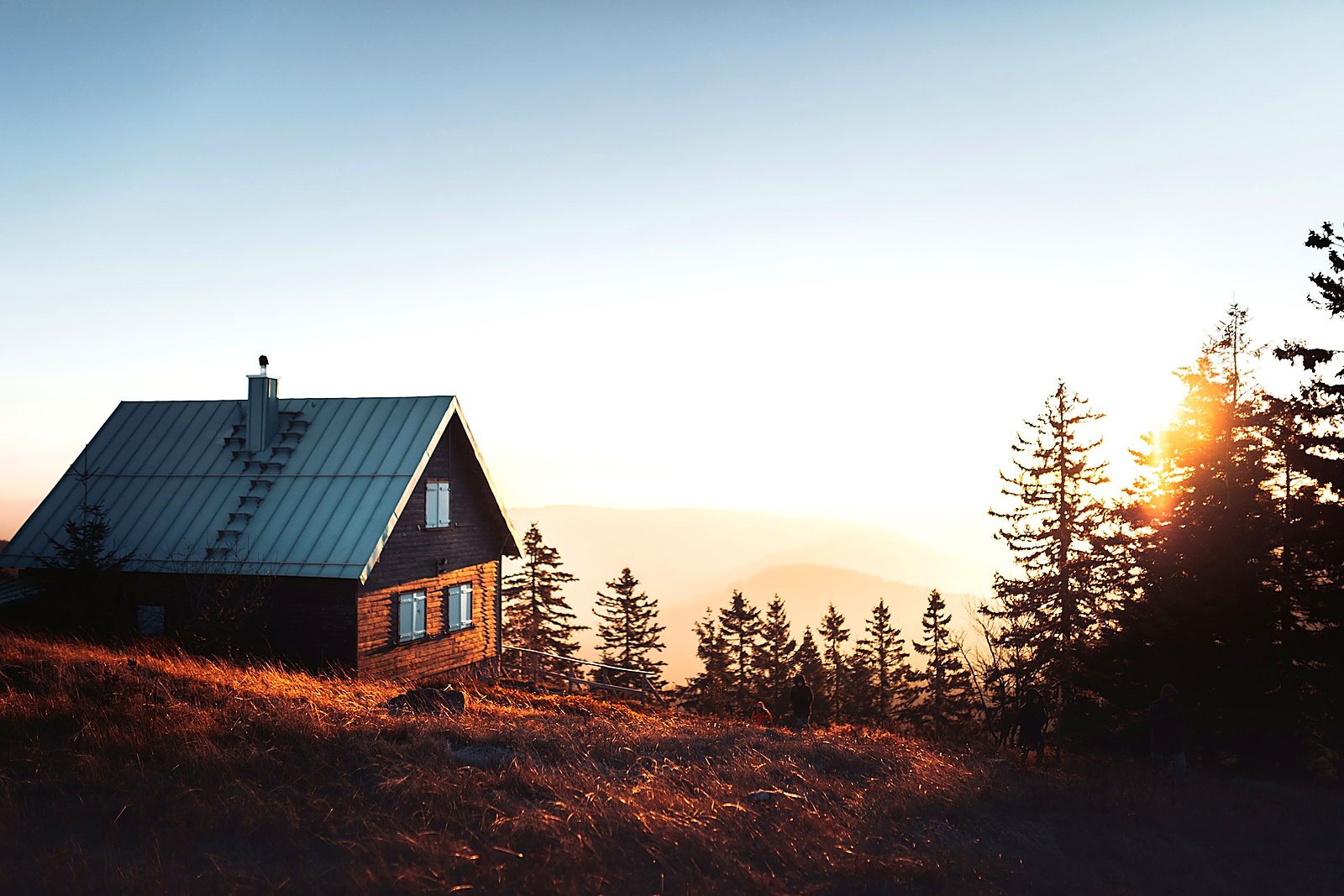 Dark wooden cabin on a golden hillside among pines at sunset.