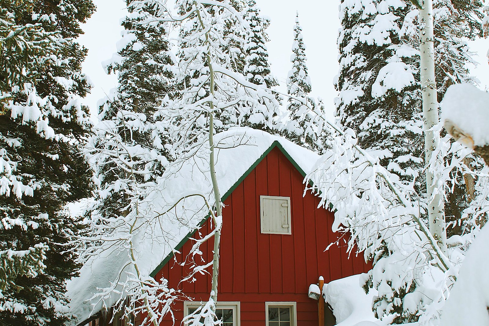 Red wooden camp buried in deep snow under loaded evergreens.