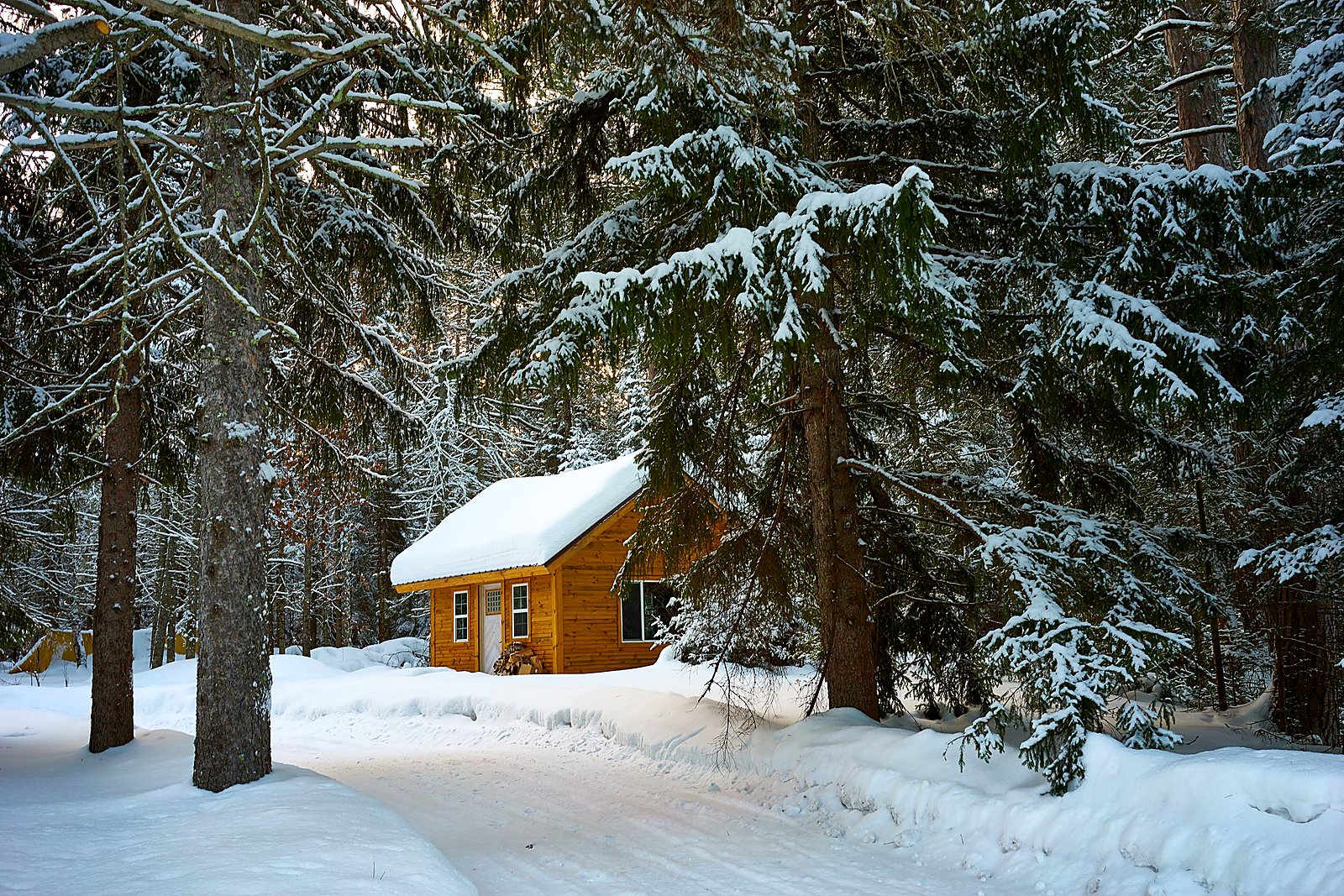 Snow-laden camp roof and eaves among winter firs.